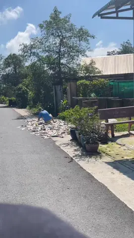 Hỏi Đường #troll #xuhuong #giaitritiktok 