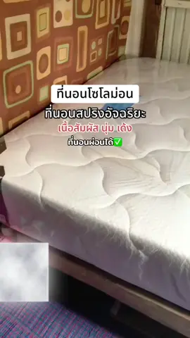 #ที่นอนโซโลม่อน #ที่นอนสปริง 