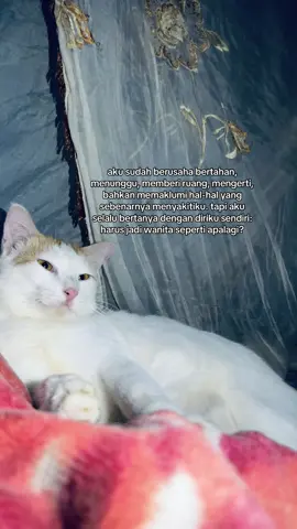 #fyp #foryoupage #quotes 