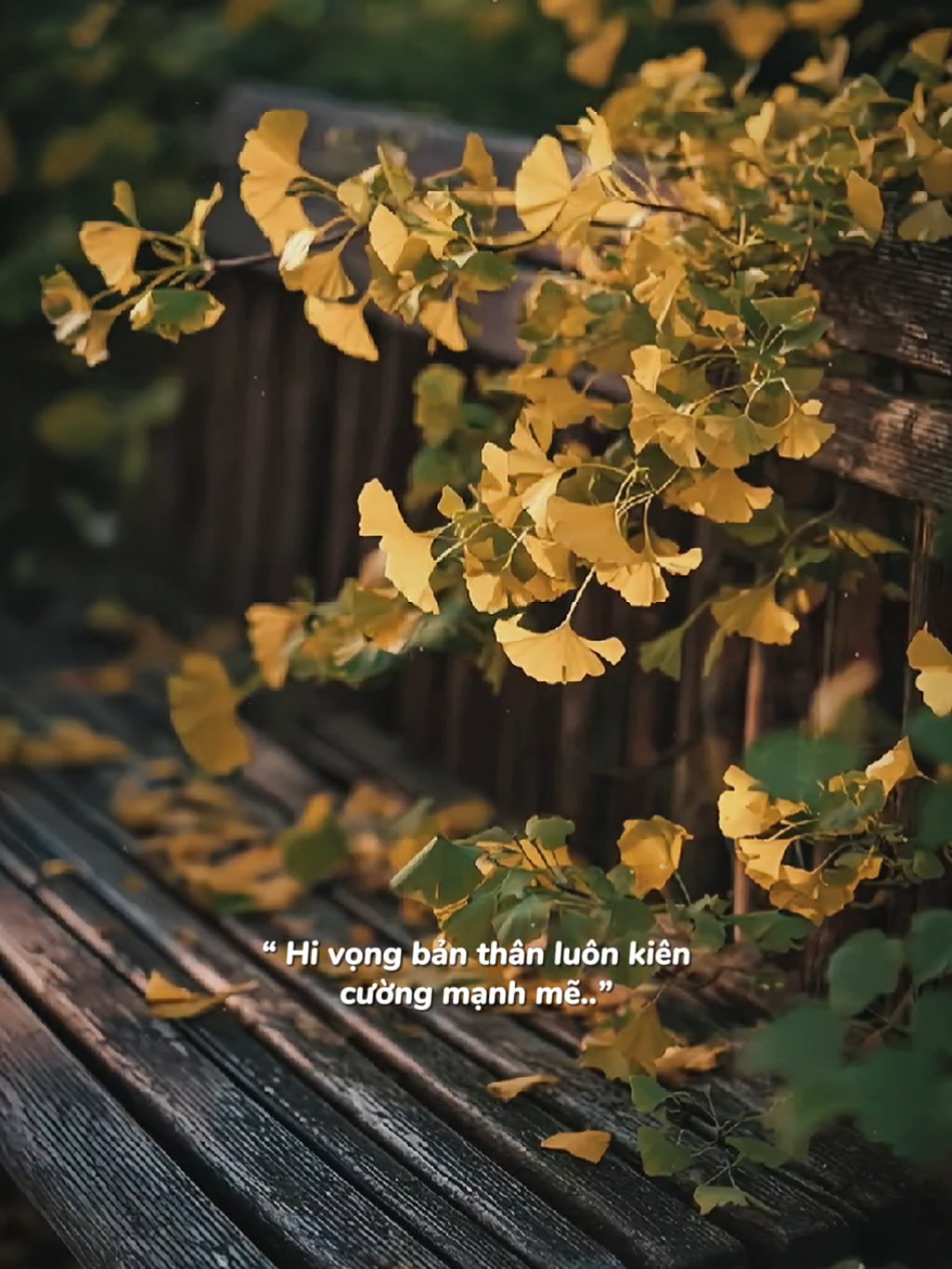 Chào tháng 11 tháng của những ngày cuối năm.. #nhachaymoingay #podcast 