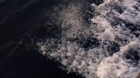 #mangseeislandfilipine🌴🏖  #viral #song 