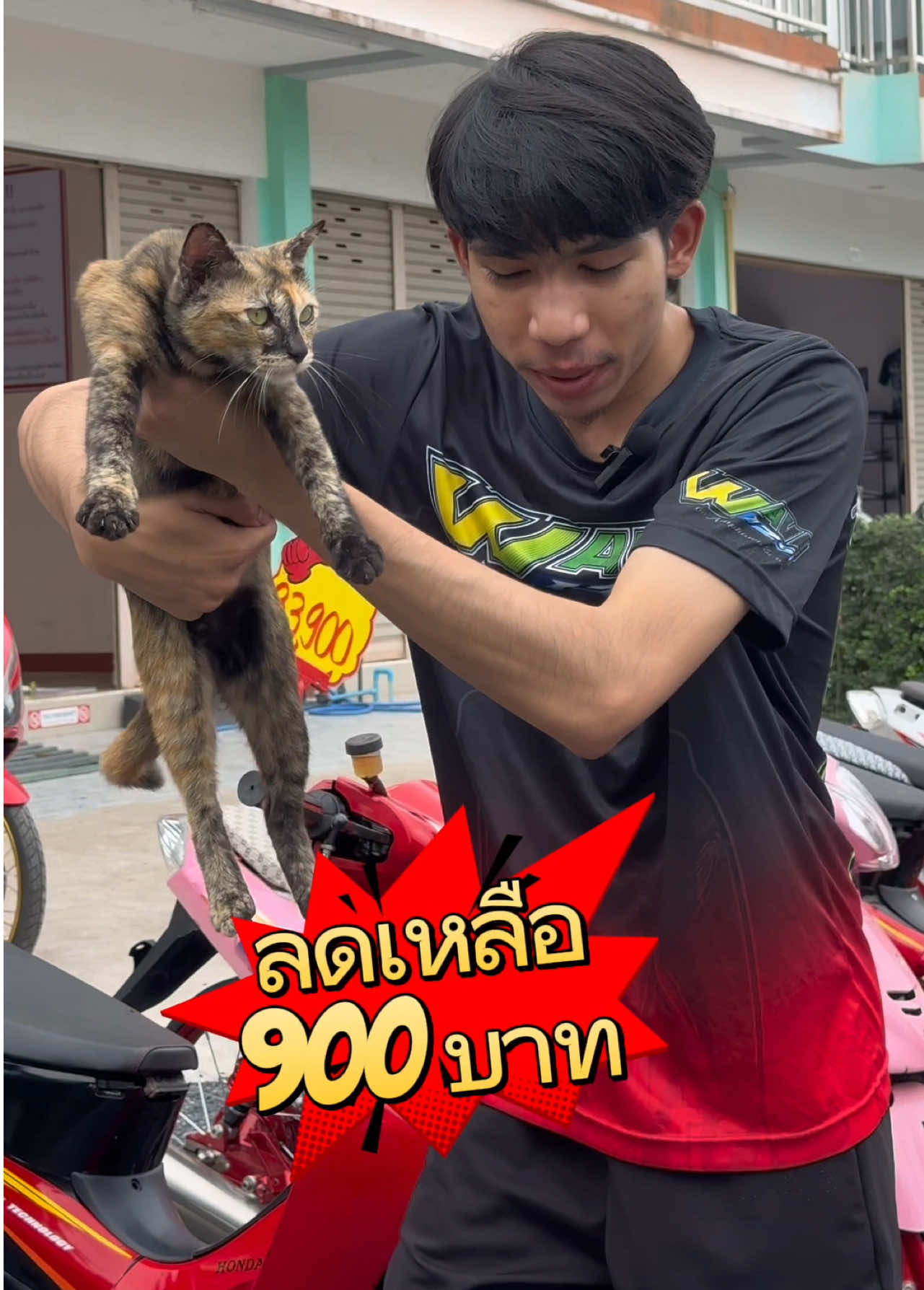 ลดราคาคันละ 900-5,900 ทุกคันในร้าน📛#สนใจคลิกลิ้งค์หน้าโปรไฟล์ติ๊กต๊อกเลย #ขายเวฟ125 #ว๋าว่านรถมือสองวคสุราษฎร์ #เวฟ125ไฟเลี้ยวบังลม #รับซื้อขายรถมอเตอร์ไซค์มือสอง 