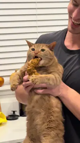 His greed sickens me #catsoftiktok #cat #catstealingfood #catlover #cattok 