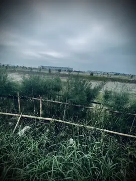 Ngồi đây với ,trăng tàn lẽ loi...