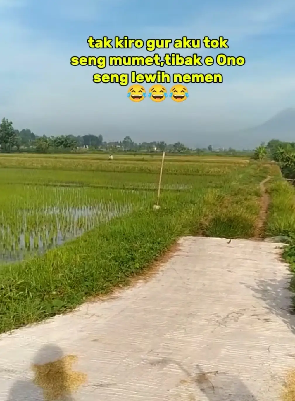 🤦🏽‍♂️🤦🏽‍♂️😂😂🤭🫵#kontenhiburan 