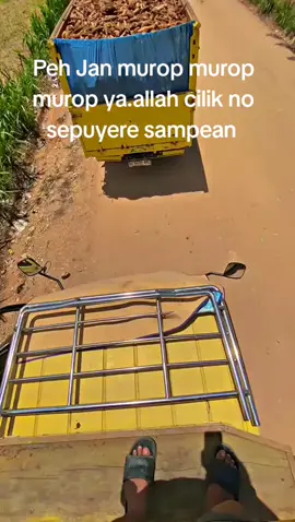 petani abisz#fyppageee #capcut 