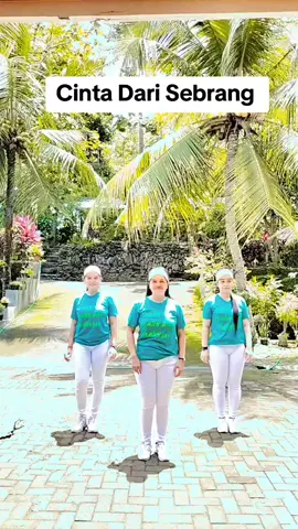 Cinta Dari Sebrang#senam kreasi #fyyyppppp 