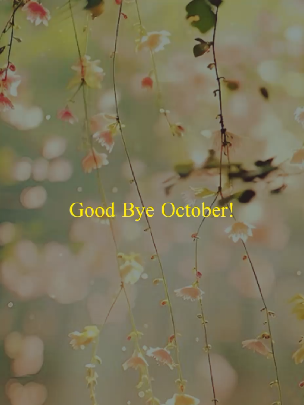 Good Bye October! #foru #foryouuu #goodbyeoctober 