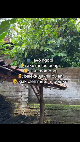 #4u #bismillahfypシ #foryoupage #jowostory #masukberanda 