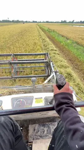 Tam bình vẫn còn đồng nha @@ suong 105 @nhon84kubota 