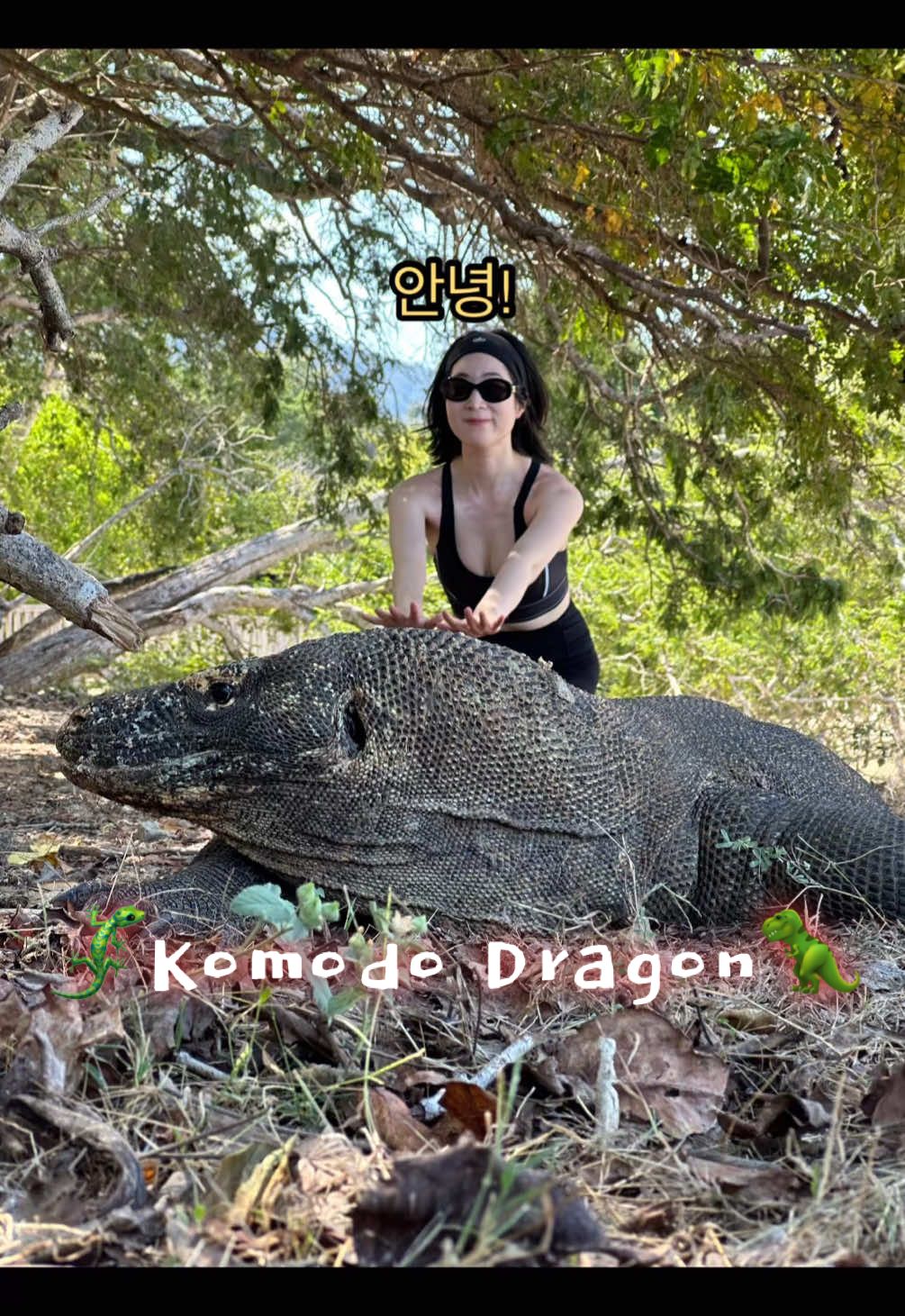 Ke toilet eh ketemu Komodo, gila banget! 🦎😱 Rusa jadi makanan… Next apa ya? #komodoisland #komododragon #wisataindonesia #liburanbali #labuanbajo 