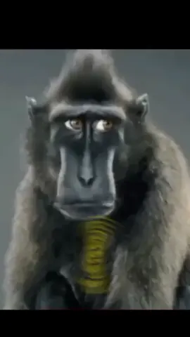 в субботу работаем😁 