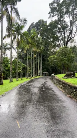 إندونيسيا 🇮🇩 بونشاك حديقة الجنة #بونشاك🇮🇩 #سفره #إندونيسيا #اكسبلور #explore 