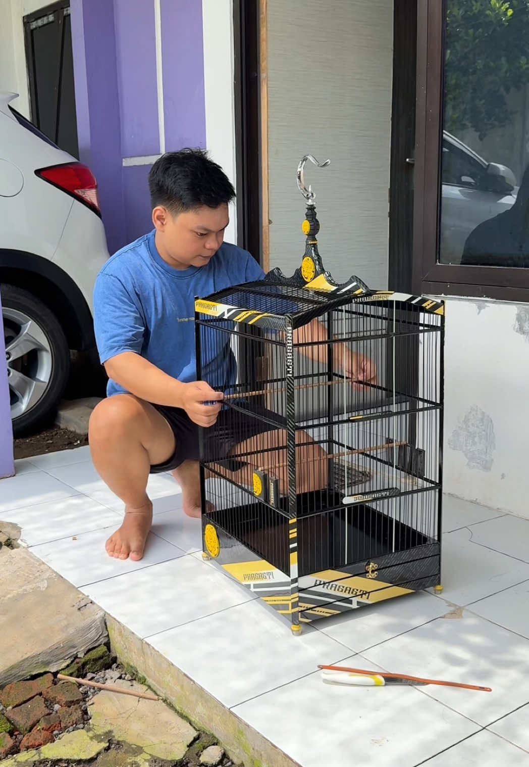 Sangkar baru buat cucak ijo zeus