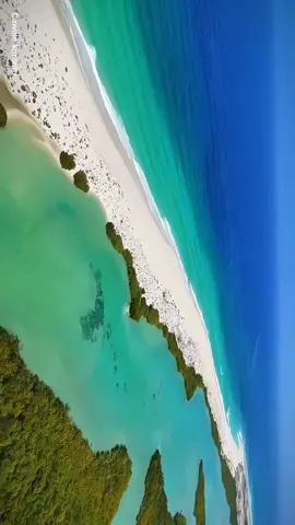 Fogeya muqalka  Reer Raascasayrow #raascaseyreditor #fyppppppppppppppppppppppp #1milion #virel #socotra🇸🇴 