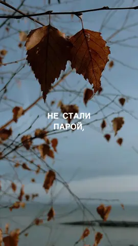 Иногда людям суждено влюбиться друг в друга, но не суждено быть вместе... #несталипарой #несложилось #чувства #прожизнь #наобьгэсе