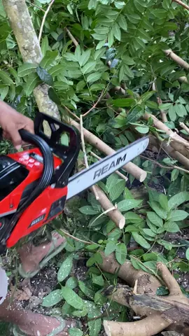 Mesin Chainsaw gergaji mesin 2tak#gergajimesin #gergajikayu 