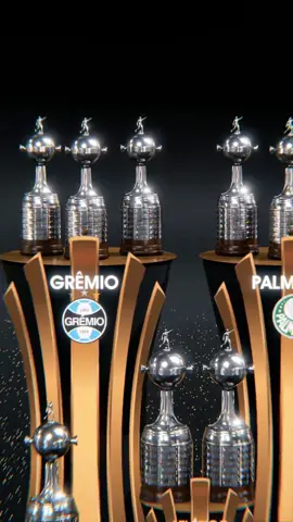Quem vai subir mais um degrau Flamengo ou Palmeiras na Libertadores? #palmeiras #copalibertadores #futebol #futebolbrasileiro #flamengo