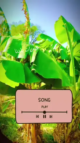 #جخو،الشغل،دا،يا،عالم،➕_❤_📝  #اعاده نشر #ابوحمد  #الجزيره مقرااات #