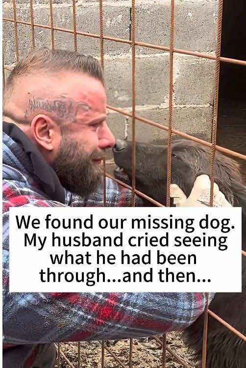 The best surprise of all❤️#fyp#Love#mypet#puppy#lovestory 