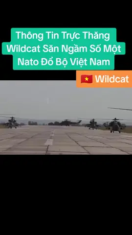 Thông Tin Trực Thăng  Wildcat Săn Ngầm Số Một Nato Đổ Bộ Việt Nam. #vietnammuatructhangwildcat #xuhuong #follow 