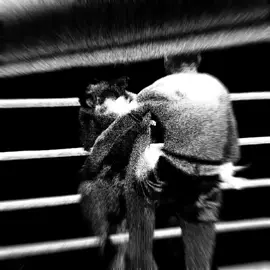 hawaiian shooter is next #fyp #rodtang #onefc #muaythai #graincore 