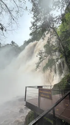 น้ำตกคลองลานเช้านี้ 31/10/68 🍃 ไหนจระเข้😅🐊 #น้ําตกคลองลาน #อุทยานแห่งชาติคลองลาน #กําแพงเพชร #ติดเทรนด์วันนี้ 