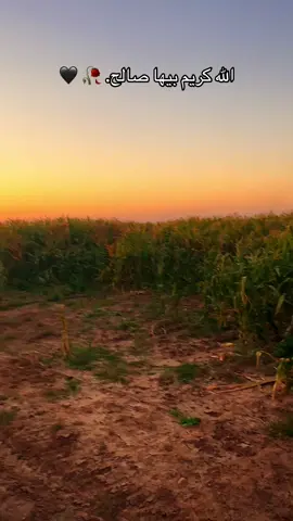 #تصويري📸اكسبلوور♥️🙂📸اكسبلوور #تصويري_احترافي_الاجواء👌🏻🕊 