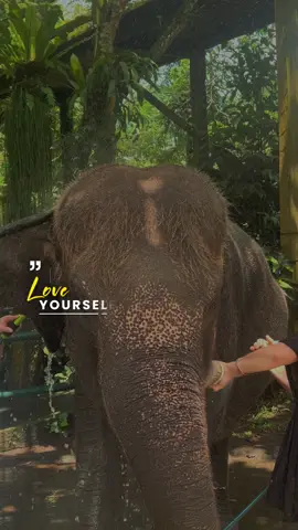 #lifeisbeautiful🌸🦋 