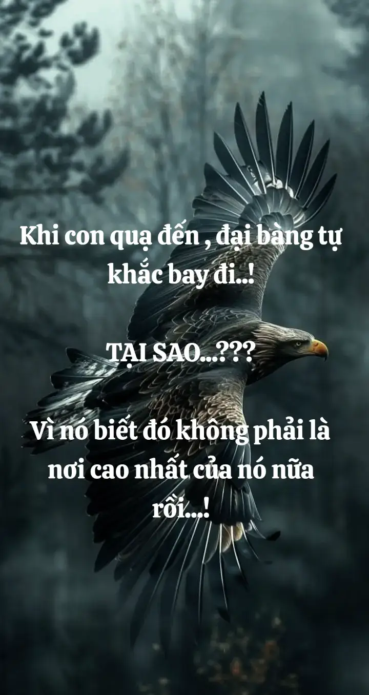 đã không còn là nơi cao nhất nữa rồi#xh 