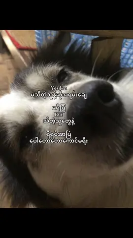 🤣#fyp #foryou #foryoupage #fypシ #crd 