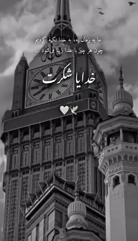 خدایا شکرت که هستی 🕊️🤍#foryou #UK #الله #afghan #allahuakbar 