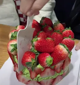 亲爱滴小少爷 有钱请我吃草莓叭 下次见面还你脖子上@阿郎🇲🇲 