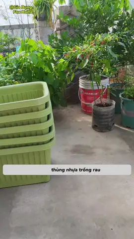 Chậu nhựa trồng rau trồng hoa