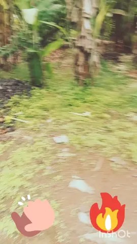 advice to our education system #videoviral 