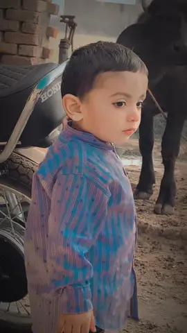 Shahzada❤️#numberdarsaab #foryou @CH Abrar Kang 