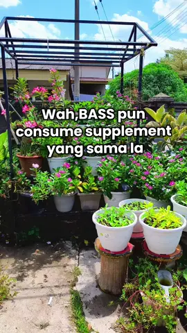 nak sihat kene rajin #goatmilkoxyenergy #milkthistleoxyenergy #kalsium #fattyliver #healthylifestyle @oxyenergy.my 