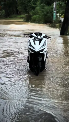 Nốt cái bản nháp nha 🥲#xh #vario125 