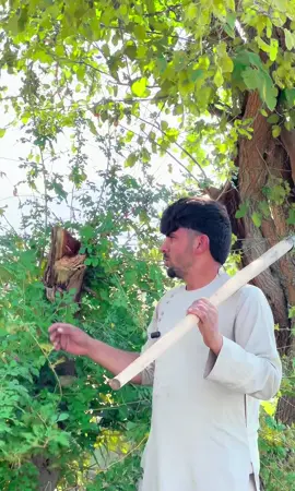 مقصد هرچاته لاس مه ورکوی🥹