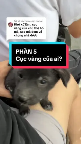 Trả lời @vthlehai 