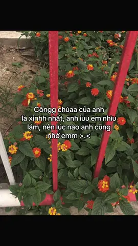 #fyp #tamtrang #luyenvirall #tinhyeu 