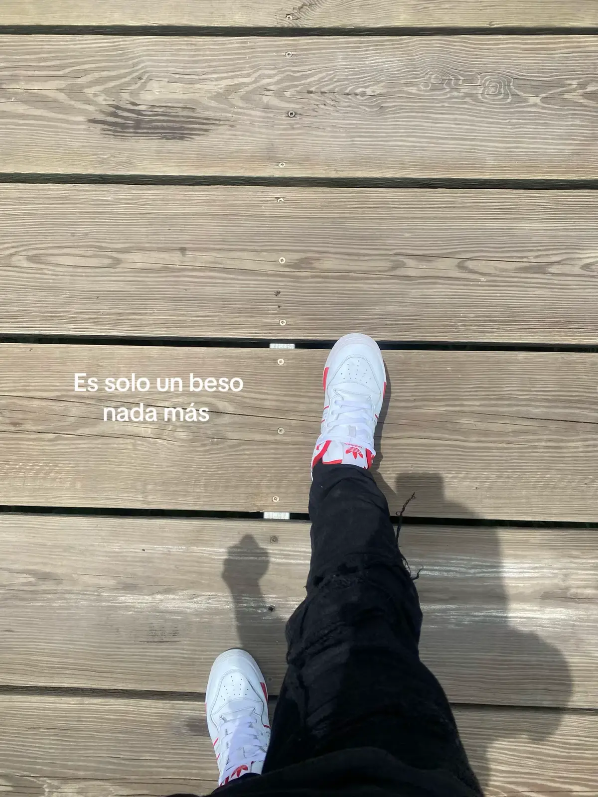 #besoanatomia #comtenido 