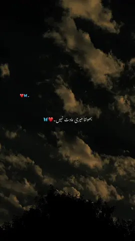 HAANN…!!❤️‍🩹🦋🥹 #1millionaudition#aestheticvideos#growaccount#poetryvideos#foryoupage