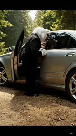 The kitten helped her but she left him part one 😭😭#catsoftiktok #worldcelebrities #meow #aishorts #cat #hearttouching #emotional