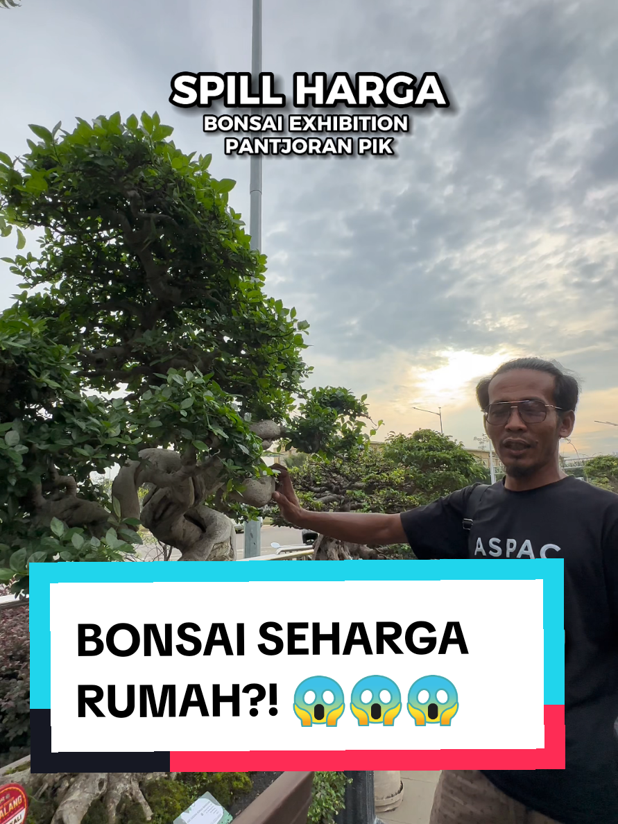Ingin melihat showcase apik dari bonsai berharga fantastis? Yuk kunjungi pameran Bonsai & Tanaman Hias by @arkayaeventworks yang hadir di @pantjoranpik! Ada lebih dari 500+ Bonsai & Tanaman Hias dari berbagai daerah Indonesia, siap membuat rumah dan tamanmu jadi lebih hijau, aesthetic, dan modern! 🌱🏡 Jadi ide healing minggu ini! Catat tanggalnya, ya! 🗓️ 21 Okt - 20 Nov 2025 📍 Pantjoran PIK ✅ Free Entry Yuk keliling taman bonsai sambil nikmati kuliner seru dan bawa pulang beragam keindahan tanaman dan bonsai dari kamu 🎉 Jangan lewatkan, dan jangan lupa follow @arkayaeventworks & @pantjoranpik buat update terbaru! 🔥 #PantjoranPIK #arkayaeventworks #Bonsai #TanamanHias #EnjoyPIK 