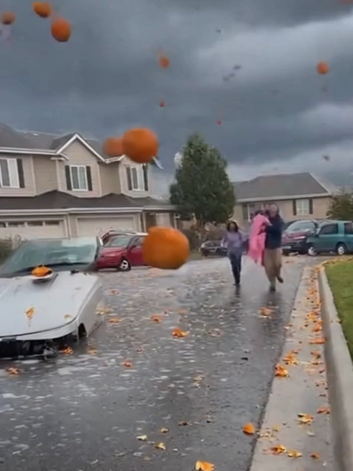 Nature Gone Wild! Never seen pumpkins falling from the sky before — total chaos on the streets 😱💥 #PumpkinRain #ExtremeWeather #NaturePower #ClimateShock #Unbelievable #RealFootage #ViralVideo #NatureFury #CrazyWeather #StormChasers #ApocalypseNow #FunnyDisaster #WeirdNature #PumpkinStorm #Halloween #halloweenmovie