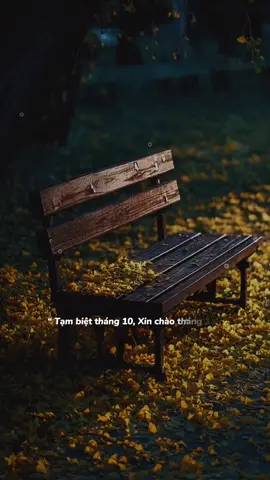 Tạm biệt tháng 10 xin chào tháng 11....! #nhachaymoingay #tramvang_09 #xuhuong2025 