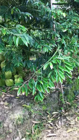 😵‍💫😵‍💫