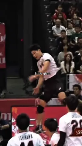 Yuhi Nishida is real little giant in real life😮‍💨🥶 How many her vertical jump? #volleyball #volleyballworld #volleyballplayer #volleyballgirls #volley 