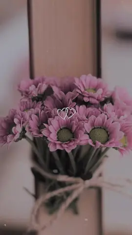 #موسيقى #تصميم_فيديوهات🎶🎤🎬 #اقتباسات_عبارات_خواطر🖤🦋🥀 #مجرد________ذووووووق🎶🎵💞 #تصميم_فيديوهات🎶🎤🎬تصميمي🔥 